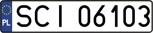 SCI06103