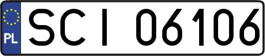 SCI06106