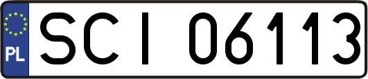 SCI06113