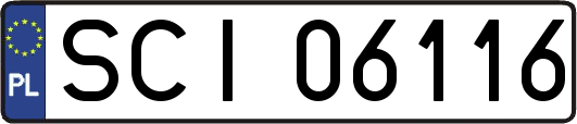 SCI06116
