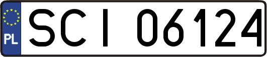SCI06124