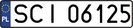 SCI06125