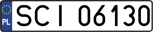 SCI06130