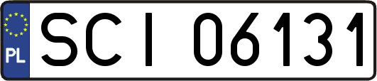 SCI06131