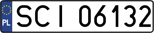 SCI06132