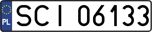SCI06133