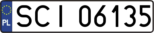 SCI06135