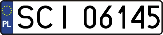 SCI06145