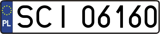 SCI06160