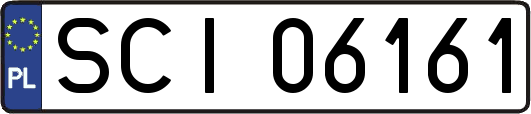 SCI06161