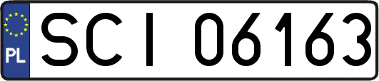 SCI06163