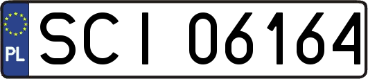 SCI06164