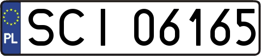 SCI06165