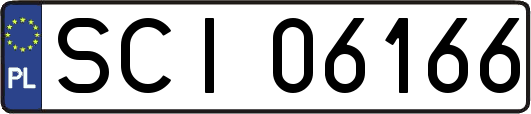 SCI06166