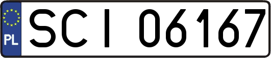 SCI06167