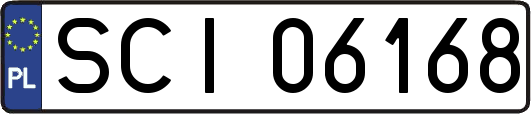 SCI06168
