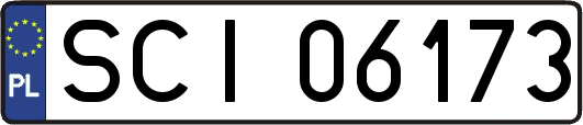 SCI06173