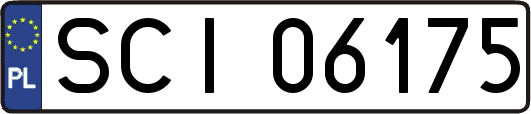 SCI06175