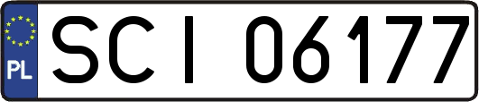 SCI06177