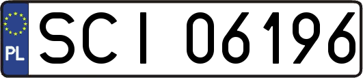 SCI06196
