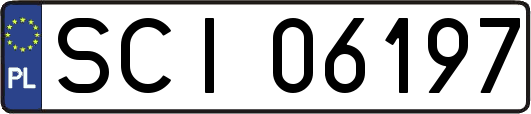 SCI06197