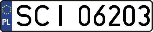 SCI06203