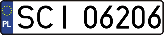 SCI06206