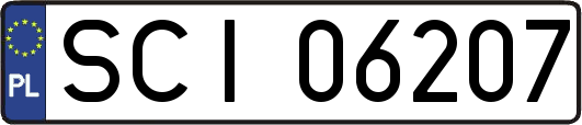 SCI06207