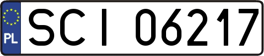 SCI06217