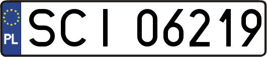 SCI06219
