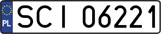 SCI06221