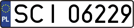 SCI06229