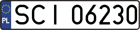 SCI06230