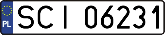 SCI06231