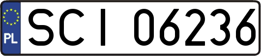 SCI06236