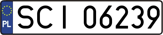 SCI06239