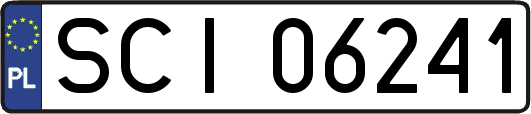 SCI06241