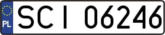 SCI06246