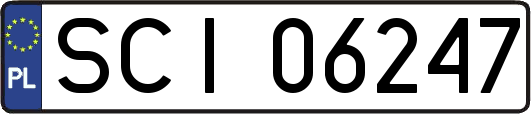 SCI06247