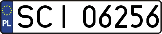 SCI06256