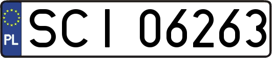 SCI06263