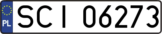 SCI06273