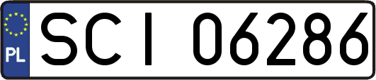 SCI06286
