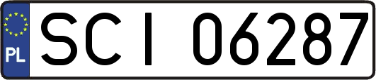SCI06287