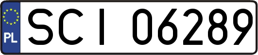 SCI06289
