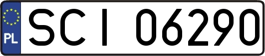 SCI06290