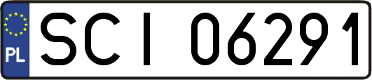 SCI06291