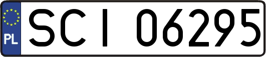 SCI06295