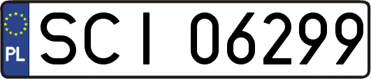 SCI06299