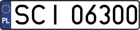 SCI06300